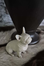 Beeld engelse bulldog