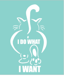 Auto - Raam sticker Spreuk I do what I want - Grappige Quote - Tekst