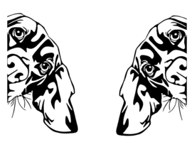 Raam stickers Peeking dog - Gluur hond - decoratief