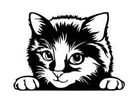 Raam - deur sticker gluurpoes - Auto - dieren