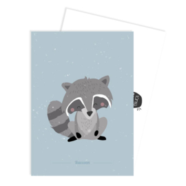 Forest animal raccoon