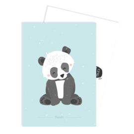 Forest animal panda