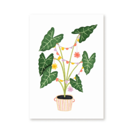 Party plant