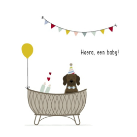 Hoera, een baby!