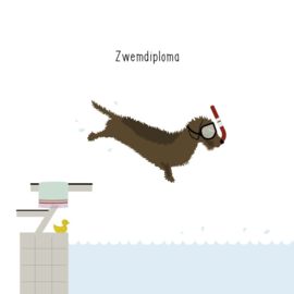 Zwemdiploma