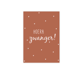 Hoera, zwanger!