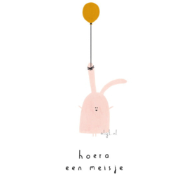 Hoera een meisje