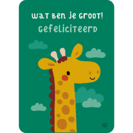 Wat ben je groot!