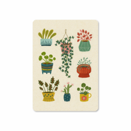 Plants