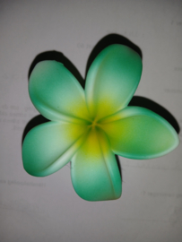 Haarclip 1 Jepun groen, hard plastic.