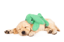 Cozydog rustgevend konijn met warmte, hartslag en lavendel 30 cm