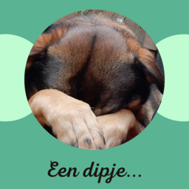 Blog: Een dipje....