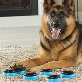 Hunger for words talking pets 6 buttons set basis woorden