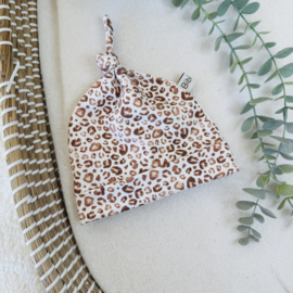 Mutsje - Leopard