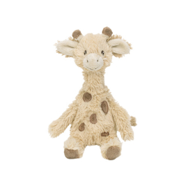 Giraffe Gus