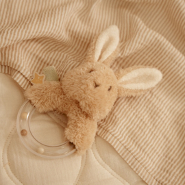 Ringrammelaar Newborn