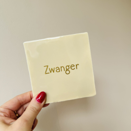 Tegel - Zwanger