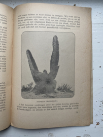 WETENen KUNNEN over cactussen en andere succulenten