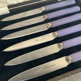 Set vintage mesjes in doos