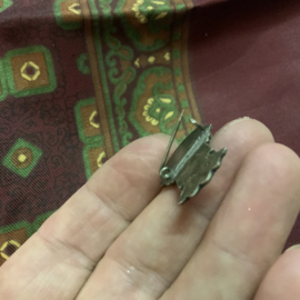 Kleine broche TERSCHELLING