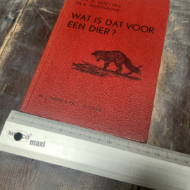 WAT IS DAT VOOR EEN DIER?