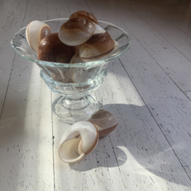 Schaal van persglas op voet