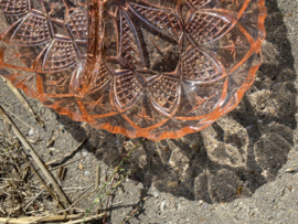 Vakkenschaal van roze glas