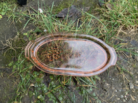 Ovaal klein blaadje van roze persglas