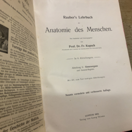RAUBER KOPSCH LEHRBUCH DER ANATOMIE