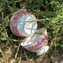 Set van 2 kommen.