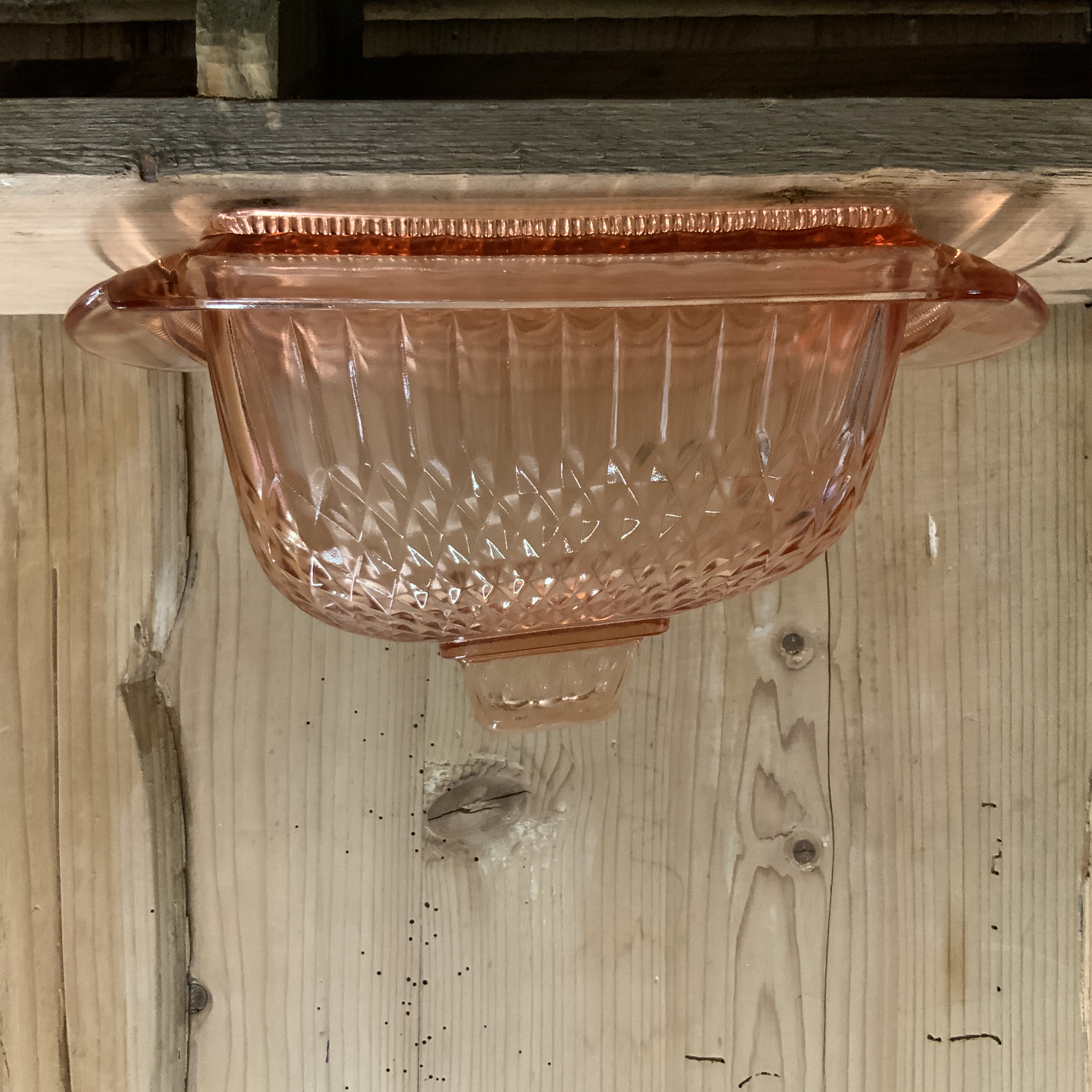 Roze kaasstolp, persglas