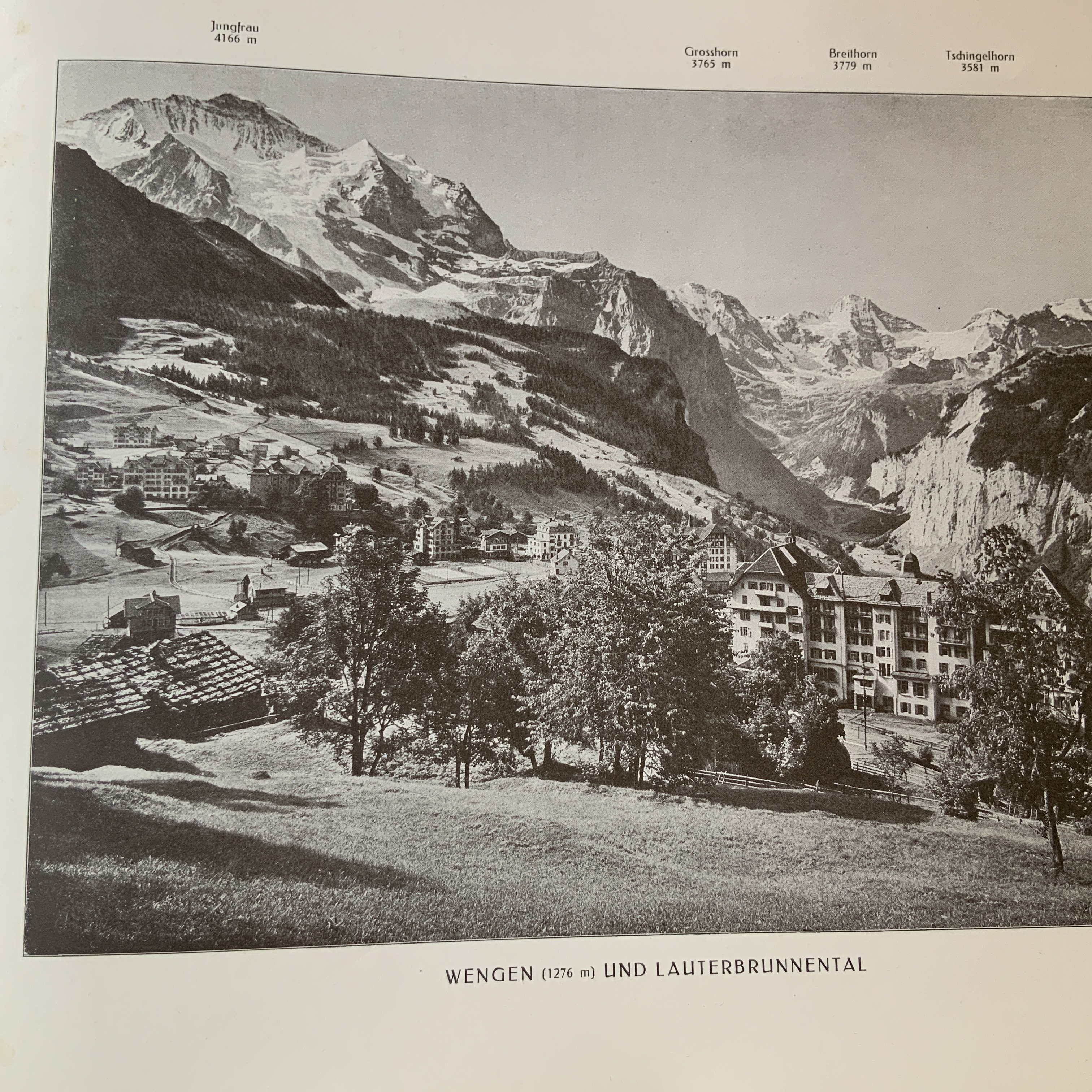 BERNER OBERLAND