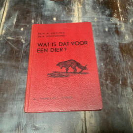 WAT IS DAT VOOR EEN DIER?