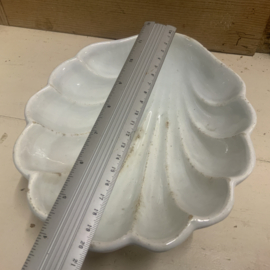 Puddingvorm SCHELP