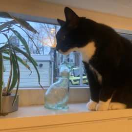 Vetreria Etrusca kat