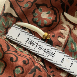 “ haaientand” hangers van schelp