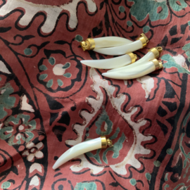 “ haaientand” hangers van schelp
