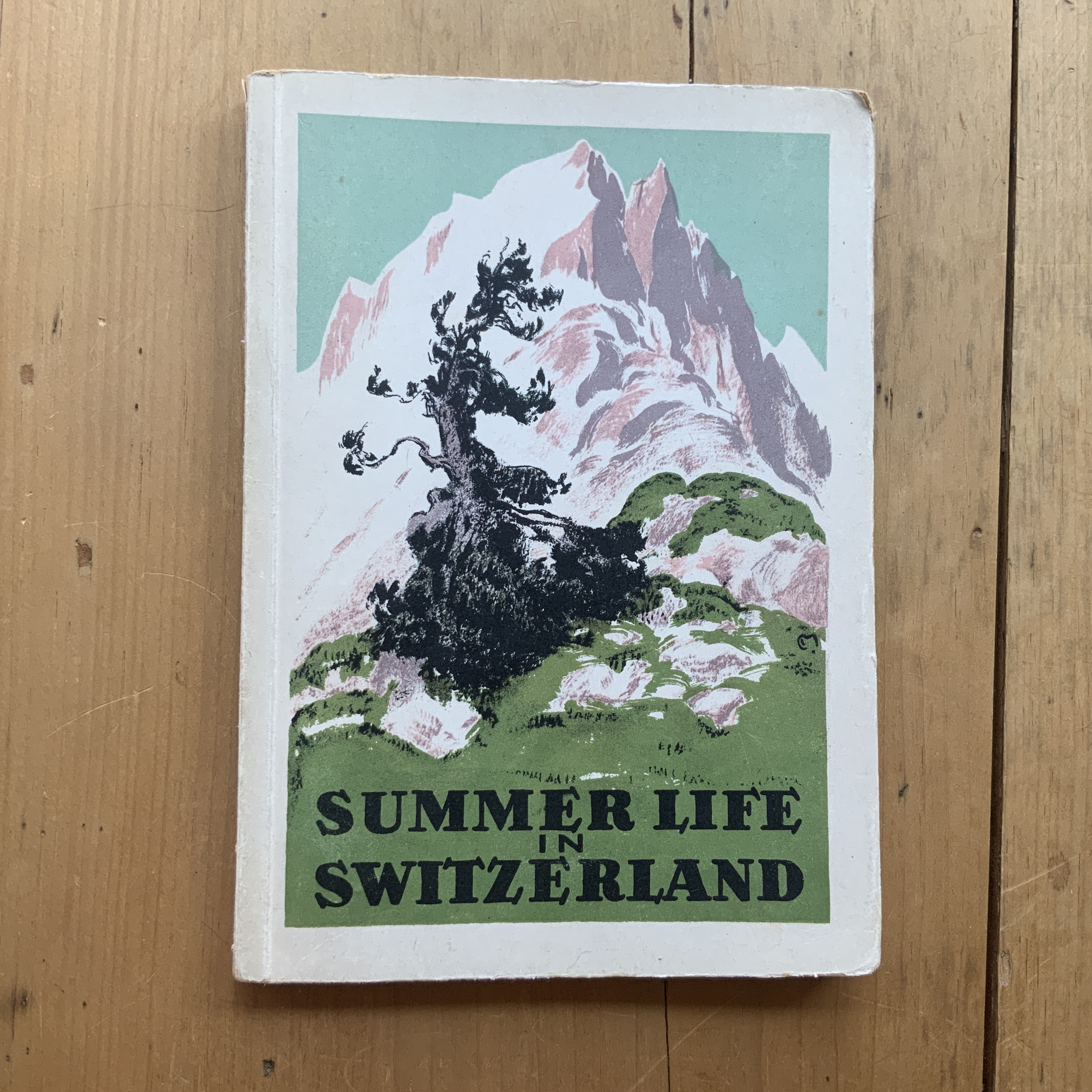Summer life in Switserland