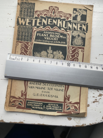 WETENen KUNNEN over cactussen en andere succulenten