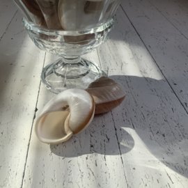 Schaal van persglas op voet