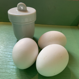 Mooie oude Engelse eggcoddler