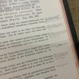 RAUBER KOPSCH LEHRBUCH DER ANATOMIE
