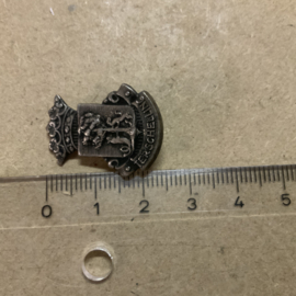 Kleine broche TERSCHELLING