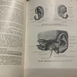 RAUBER KOPSCH LEHRBUCH DER ANATOMIE