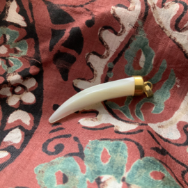 “ haaientand” hangers van schelp