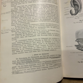 RAUBER KOPSCH LEHRBUCH DER ANATOMIE