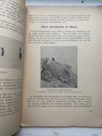 WETENen KUNNEN over cactussen en andere succulenten
