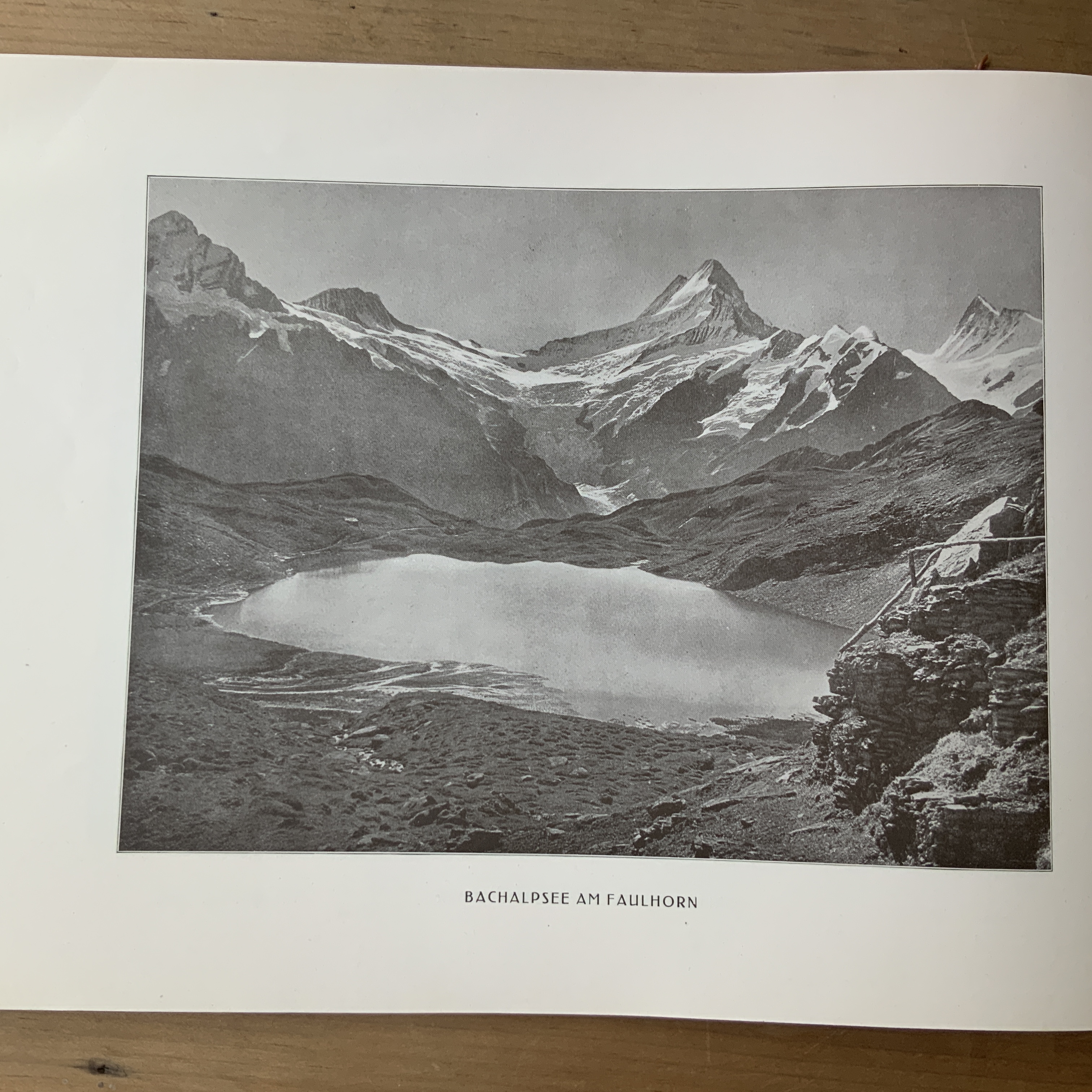 BERNER OBERLAND