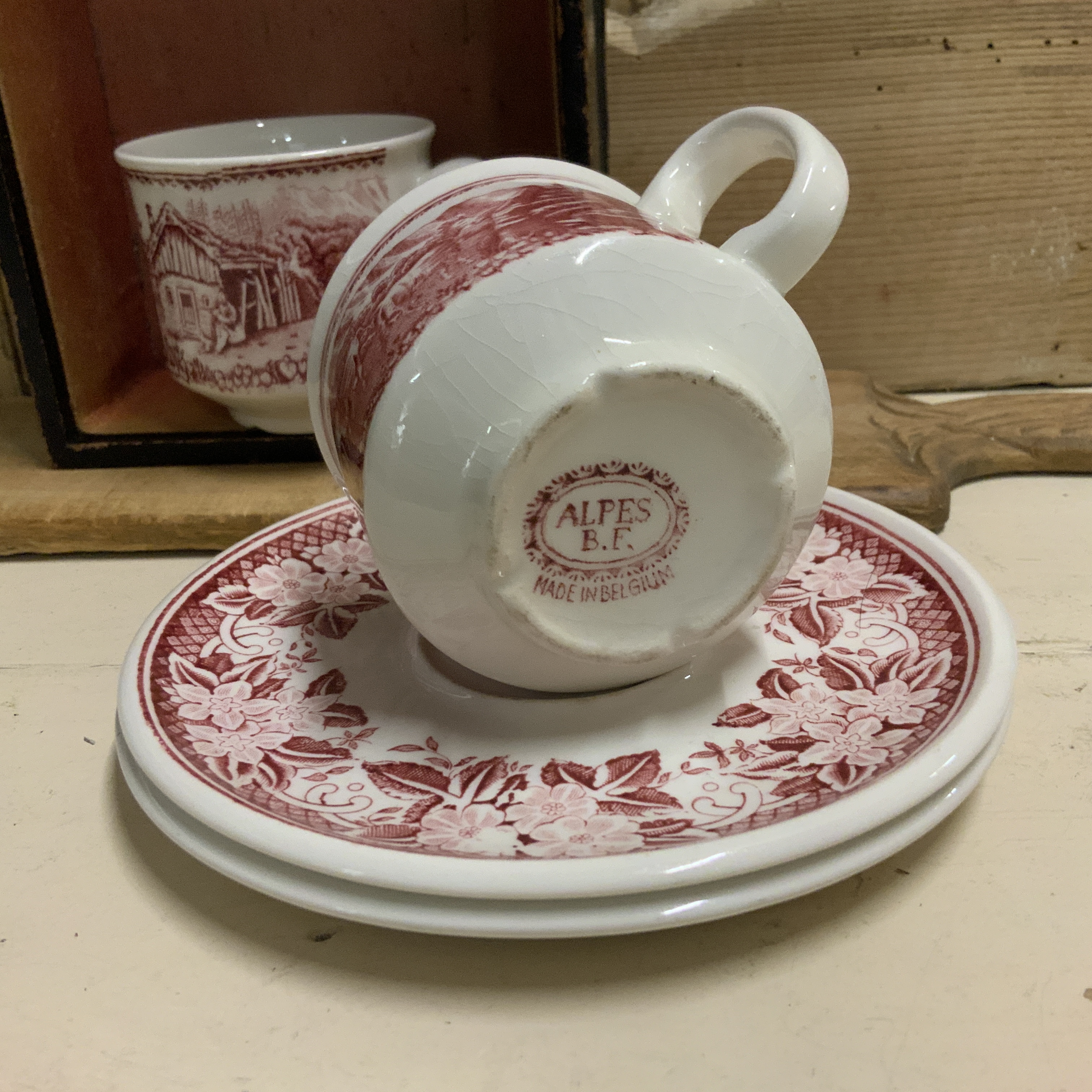 Set ALPES kop en schotel