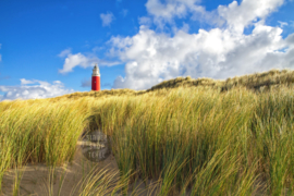 Vuurtoren en Helmgras, Fleece Deken.